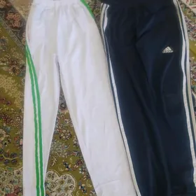 spartipka ak Balak ve gök goyy