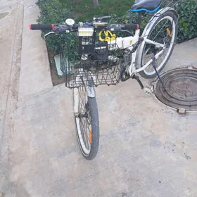 Satlyk tigir ferrary