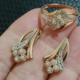 gyzyl kampilekit gysagly