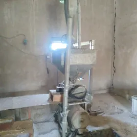 Bugday haraz, 30-lyk