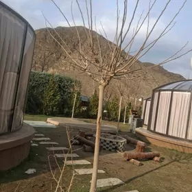 АКТАМ ЗЕМЛЯ 4 ГИКТАРА 170