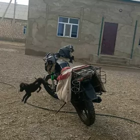 Fekon FK200-14G 2015