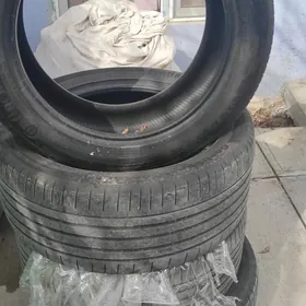 continental sport contact