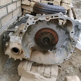 2.5 paltaň karopkasy