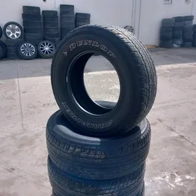 285 65 17 arginal Dunlop kompl