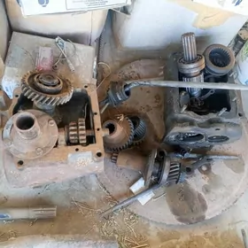 karopga prasdoý śaylary