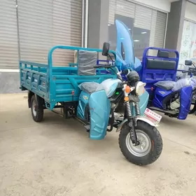 Fekon FK200-14G 2025