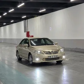 Toyota Corolla 2011