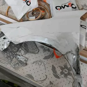 Cep tarap gapy we onki krilo