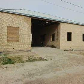 Satlyk jaý Alan depe