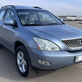 Lexus RX 330 2004