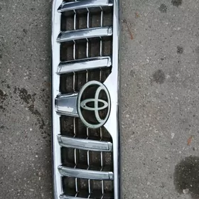 pardo 03 09 obilcovka