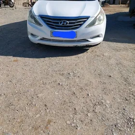 Hyundai Sonata 2010