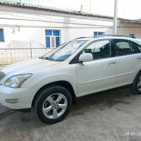 Lexus RX 330 2004