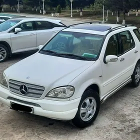 ML w163 dugasy padnoska