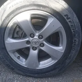 siyena radnoy 17 lik disga pak