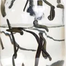 sùlùk (пиявка)