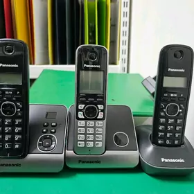 Panasonic Dom trupka