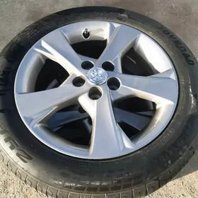 Karolla Radnoý Ekxculsive 16