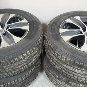 Haylandyr diska pakrishka