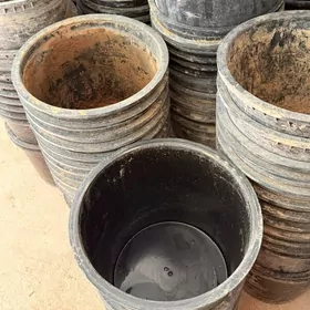 gul we bag ucin garsok