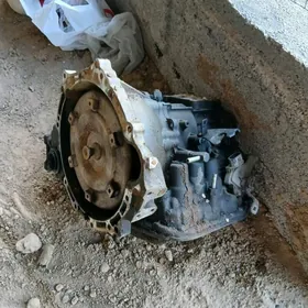 Karopga 2009 karollanky