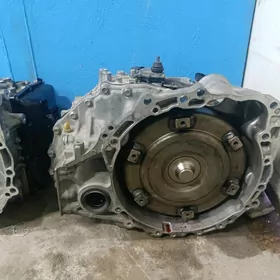 karopga 3.5 8 skor Highlander