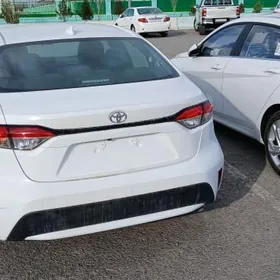 Toyota Corolla 2020