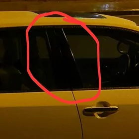 Palta stoyka plasmas