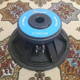 Toý Dinamik 12"-lik.