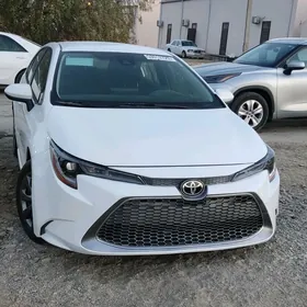 Toyota Corolla 2022
