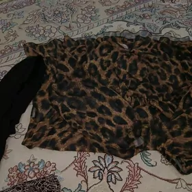 koynek cagaldgjo h6و ب