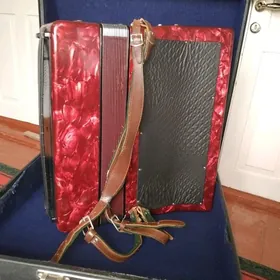 аккордеон велтмейстер консона