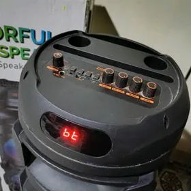 GYSAGLY SATLYK KALONKA