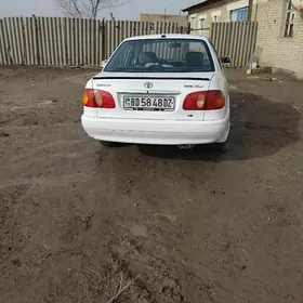 Toyota Corolla 2000