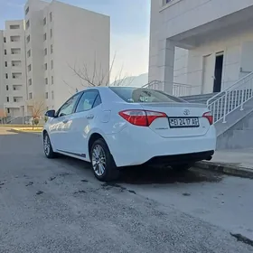 Toyota Corolla 2014