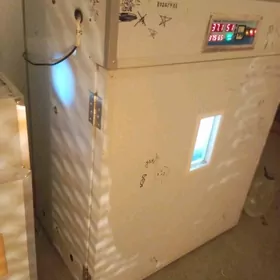 заводской инкубатор