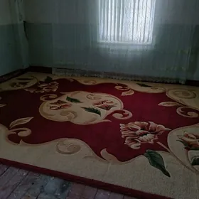 Eýran oýmak halysy