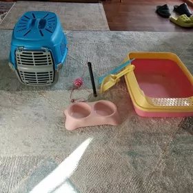 Pişigiň saklanyan esbaplary