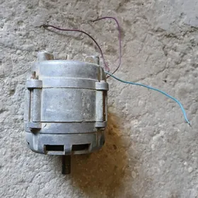 kirgizya diwitil islapdur