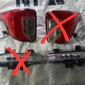 Cyra Tumannik explorer