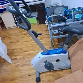 welisoped trinajornyy