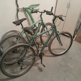 ТИГИР ТУРМЕНИСТАН