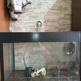 аквариум 60л