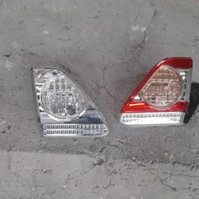 haliji carolla fara 11 13