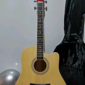 MALOSNY GITARA