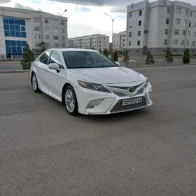 Toyota Camry 2019