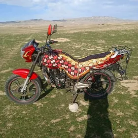 Fekon FK200-14G 2010