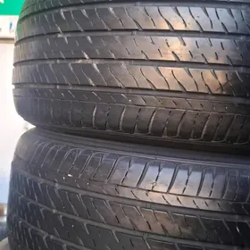 205-55-16 firestone 2023