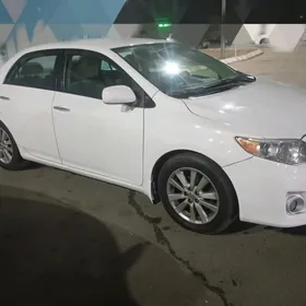 Toyota Corolla 2011